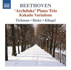 Beethoven - Trios Vol 5 ryhmässä Externt_Lager / Naxoslager @ Bengans Skivbutik AB (571060)