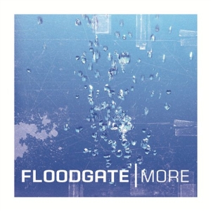 Floodgate - More ryhmässä ME SUOSITTELEMME / Joululahjavinkki: CD @ Bengans Skivbutik AB (576340)