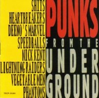 Various Artists - Punks From The Underground ryhmässä CD / Pop-Rock @ Bengans Skivbutik AB (579769)