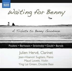 Poulenc / Bernstein / Gershwin - Clarinet Sonatas ryhmässä ME SUOSITTELEMME / Joululahjavinkki: CD @ Bengans Skivbutik AB (581199)