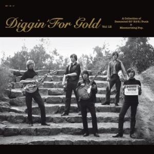 Various Artists - Diggin' For Gold Vol. 12 ryhmässä VINYYLI / Pop-Rock @ Bengans Skivbutik AB (589775)