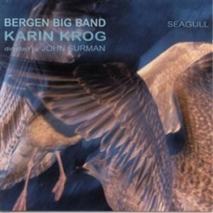 Krog Karin - Seagull ryhmässä ME SUOSITTELEMME / Joululahjavinkki: CD @ Bengans Skivbutik AB (597390)