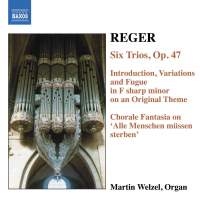 Reger Max - Organ Works Vol 6 ryhmässä ME SUOSITTELEMME / Joululahjavinkki: CD @ Bengans Skivbutik AB (598572)