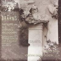 Brahms Johannes - Piano Quartet No 1 ryhmässä ME SUOSITTELEMME / Joululahjavinkki: CD @ Bengans Skivbutik AB (599272)