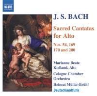 Bach - Alto Cantatas ryhmässä ME SUOSITTELEMME / Joululahjavinkki: CD @ Bengans Skivbutik AB (603063)