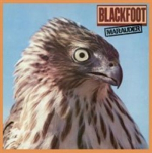 Blackfoot - Marauder ryhmässä ME SUOSITTELEMME / Klassiska lablar / Rock Candy @ Bengans Skivbutik AB (611530)