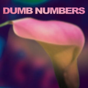 Dumb Numbers - Dumb Numbers ryhmässä CD / Rock @ Bengans Skivbutik AB (611564)