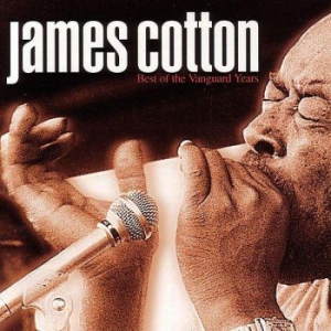 Cotton James - Best Of The Vanguard Years ryhmässä CD @ Bengans Skivbutik AB (616793)