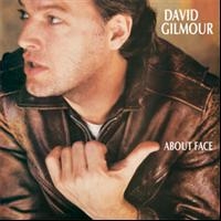 DAVID GILMOUR - ABOUT FACE ryhmässä CD / Pop-Rock @ Bengans Skivbutik AB (618028)