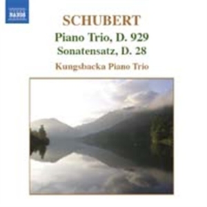 Schubert - Piano Trios ryhmässä Externt_Lager / Naxoslager @ Bengans Skivbutik AB (621210)