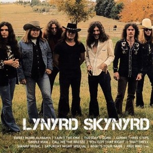 Lynyrd Skynyrd - Icon ryhmässä Minishops / Lynyrd Skynyrd @ Bengans Skivbutik AB (622752)