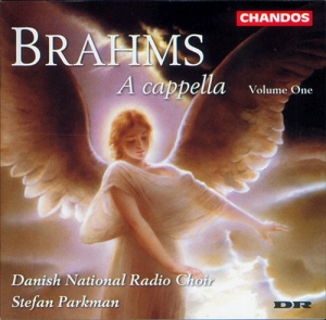 Brahms - A Cappella Vol 1 ryhmässä Externt_Lager / Naxoslager @ Bengans Skivbutik AB (625996)