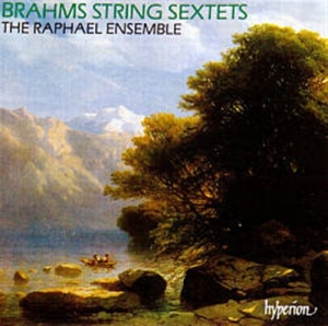 Brahms Johannes - String Sextet 1 & 2 ryhmässä Externt_Lager / Naxoslager @ Bengans Skivbutik AB (626289)