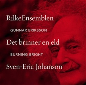 Johanson Sven-Eric - Burning Bright ryhmässä ME SUOSITTELEMME / Joululahjavinkki: CD @ Bengans Skivbutik AB (627437)