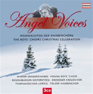 Angel Voices - The Boys Choirs Christmas ryhmässä Externt_Lager / Naxoslager @ Bengans Skivbutik AB (627447)