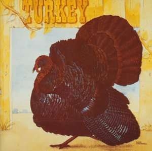 Wild Turkey - Turkey: Expanded Edition ryhmässä CD / Rock @ Bengans Skivbutik AB (628841)