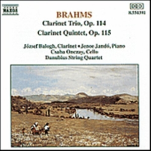 Brahms Johannes - Clarinett Trio & Quintet ryhmässä ME SUOSITTELEMME / Joululahjavinkki: CD @ Bengans Skivbutik AB (628929)