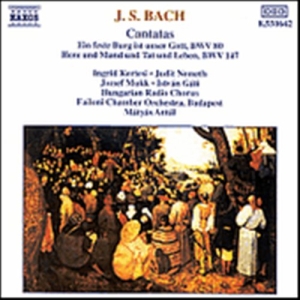 Bach Johann Sebastian - Cantatas ryhmässä ME SUOSITTELEMME / Joululahjavinkki: CD @ Bengans Skivbutik AB (629214)