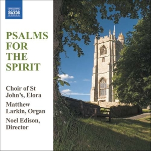 Various - Psalms For The Spirit ryhmässä Externt_Lager / Naxoslager @ Bengans Skivbutik AB (629931)