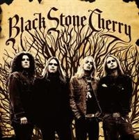 BLACK STONE CHERRY - BLACK STONE CHERRY ryhmässä CD / Pop-Rock @ Bengans Skivbutik AB (630122)