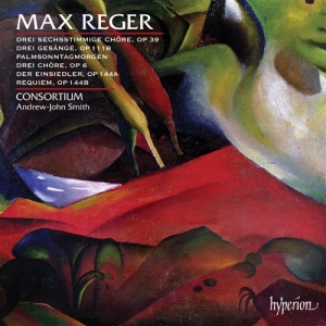 Reger - Choral Music ryhmässä Externt_Lager / Naxoslager @ Bengans Skivbutik AB (630839)