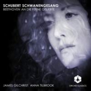 Schubert - Schwanengesang ryhmässä ME SUOSITTELEMME / Joululahjavinkki: CD @ Bengans Skivbutik AB (631185)