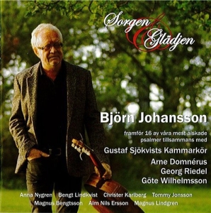 Johansson Björn - Sorgen & Glädjen ryhmässä CD / Dansband-Schlager @ Bengans Skivbutik AB (632079)