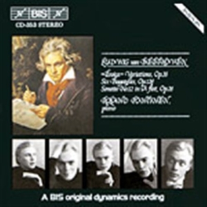 Beethoven Ludwig Van - Eroica Vars ryhmässä Externt_Lager / Naxoslager @ Bengans Skivbutik AB (635497)