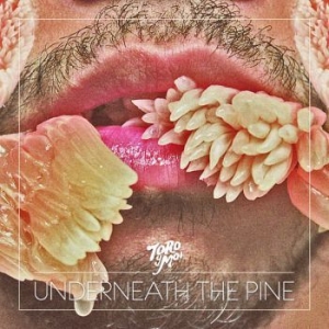 Toro Y Moi - Underneath The Pine ryhmässä CD / Pop-Rock @ Bengans Skivbutik AB (636006)