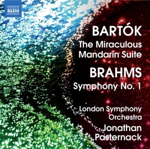 Brahms - Symphony No 1 ryhmässä Externt_Lager / Naxoslager @ Bengans Skivbutik AB (639456)