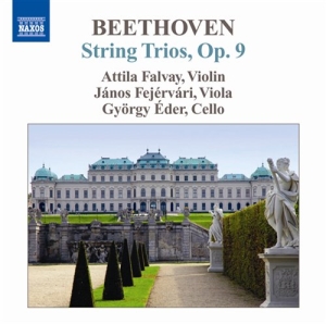 Beethoven - String Trios ryhmässä ME SUOSITTELEMME / Joululahjavinkki: CD @ Bengans Skivbutik AB (639464)