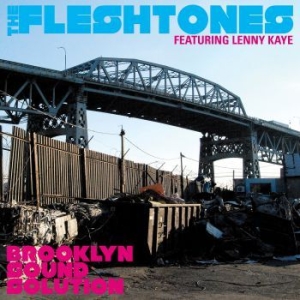 Fleshtones - Brooklyn Sound Solution ryhmässä ME SUOSITTELEMME / Klassiska lablar / YepRoc / CD @ Bengans Skivbutik AB (641088)