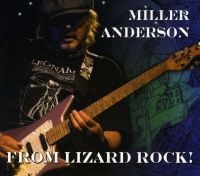 Anderson Miller - From Lizard Rock! ryhmässä CD / Pop-Rock @ Bengans Skivbutik AB (643027)