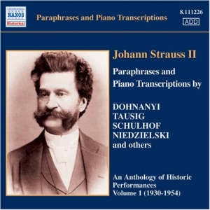 Various - Johann Strauss Ii Piano Transcripti ryhmässä Externt_Lager / Naxoslager @ Bengans Skivbutik AB (646371)