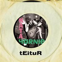 Teitur - Kata Hornid ryhmässä CD / Dansk Musik,Elektroniskt,World Music @ Bengans Skivbutik AB (647147)