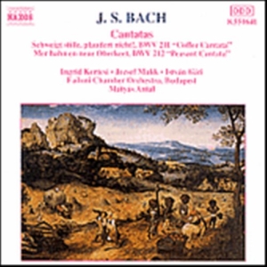 Bach Johann Sebastian - Cantatas ryhmässä ME SUOSITTELEMME / Joululahjavinkki: CD @ Bengans Skivbutik AB (647971)