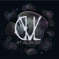 Det Vackra Livet - Det Vackra Livet ryhmässä CD / Pop-Rock @ Bengans Skivbutik AB (650993)