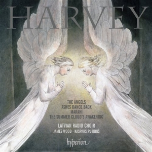 Harvey - The Angels ryhmässä ME SUOSITTELEMME / Joululahjavinkki: CD @ Bengans Skivbutik AB (651446)