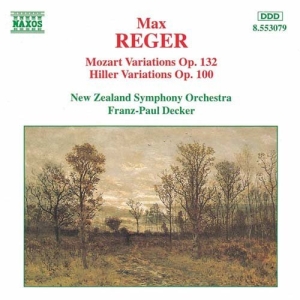 Reger Max - Variation And Fuguss Opp 100 & ryhmässä ME SUOSITTELEMME / Joululahjavinkki: CD @ Bengans Skivbutik AB (655219)