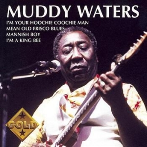 Waters Muddy - Muddy Waters Gold ryhmässä CD / Blues,Jazz @ Bengans Skivbutik AB (655881)