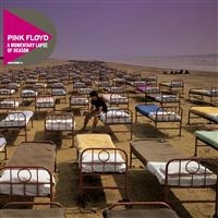 PINK FLOYD - A MOMENTARY LAPSE OF REASON ryhmässä CD / Pop-Rock @ Bengans Skivbutik AB (657070)