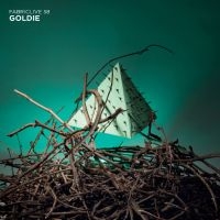 Goldie - Fabriclive 58 : ryhmässä CD / Dance-Techno,Pop-Rock @ Bengans Skivbutik AB (662111)