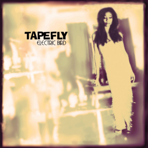 Tapefly - Electric Bird ryhmässä CD / Pop @ Bengans Skivbutik AB (670645)