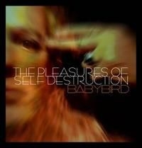 Babybird - Pleasure Of Self Destruction ryhmässä CD / Pop-Rock @ Bengans Skivbutik AB (671576)