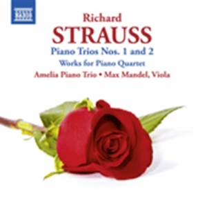 Richard Strauss - Piano Trios Nos 1 And 2 ryhmässä ME SUOSITTELEMME / Joululahjavinkki: CD @ Bengans Skivbutik AB (675074)