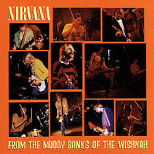 Nirvana - From The Muddy Banks ryhmässä CD / Pop-Rock @ Bengans Skivbutik AB (682841)