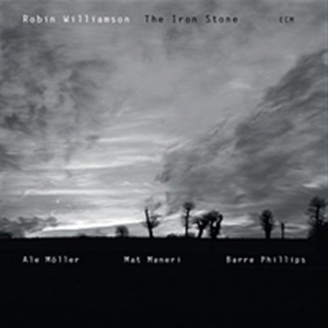 Williamson Robin - The Iron Stone ryhmässä CD / Pop-Rock @ Bengans Skivbutik AB (685237)