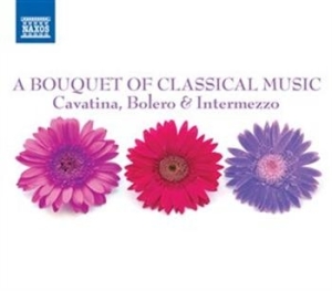 Various Artists - A Bouquet Of Classical Music ryhmässä CD / Övrigt @ Bengans Skivbutik AB (695275)