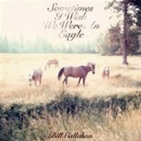 Callahan Bill - Sometimes I Wish We Were An Eagle ryhmässä CD / Pop-Rock @ Bengans Skivbutik AB (695781)