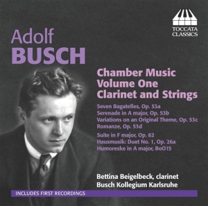 Busch - Chamber Music ryhmässä Externt_Lager / Naxoslager @ Bengans Skivbutik AB (706883)